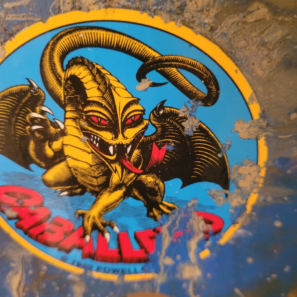 1994 Globe & 1980 Powell Caballero skateboard